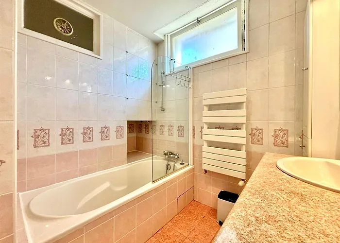T3 Spacieux A Avec Balcon Vue Montagnes, Animaux Admis - Fr-1-432-49 * آنسي